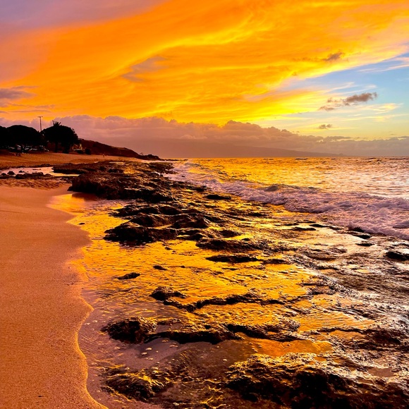 Meet your Posher, Pineapple Betsy - Picture 1 of 9